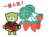 いちご用LED電球
